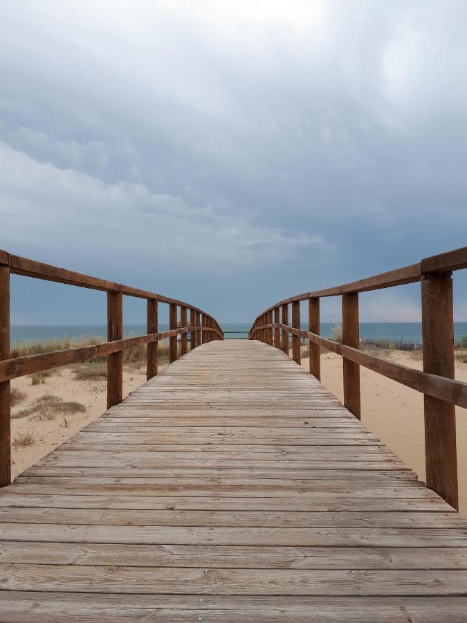 Elche Holidays Bagian luar foto